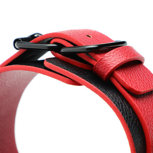 【谜姬】 卡扣便携束缚套装SM捆绑成人情趣用品另类性爱玩具 商品图4