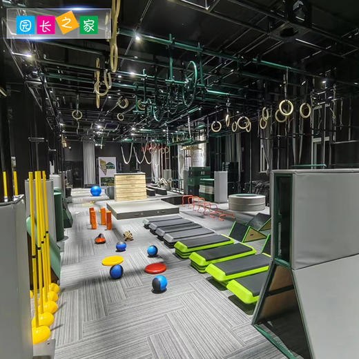 体能器材运动摆臂 商品图3