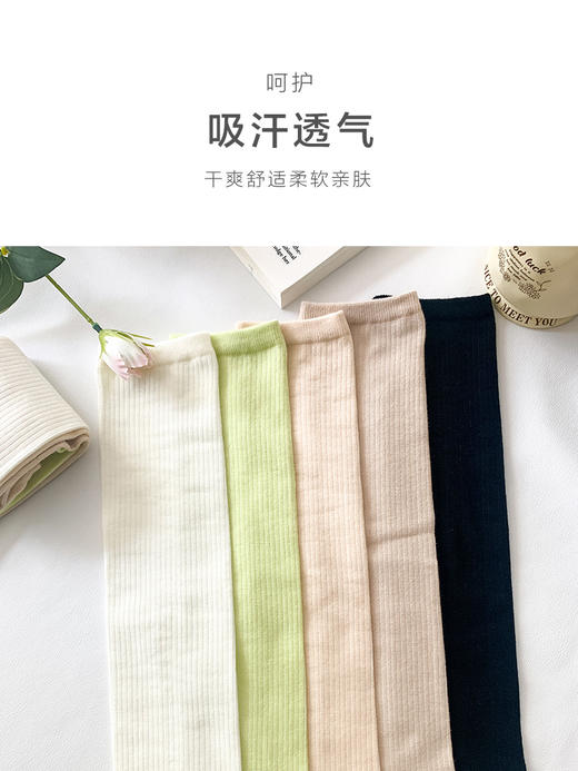 足装秀24新品夏季女糖果色直板袜精梳棉亲肤透气小腿堆堆袜女袜子 商品图4