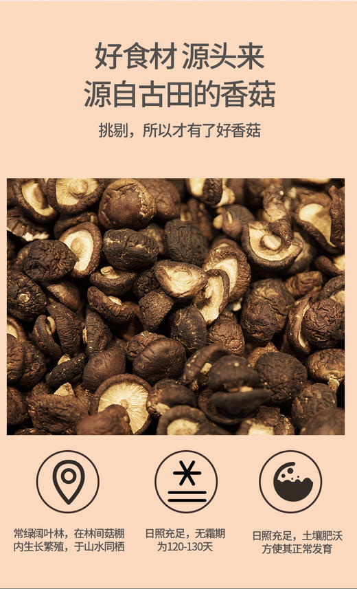 【百】江南季干香菇 98g/袋 商品图2