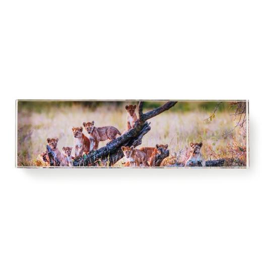 罗红摄影作品-水晶摆台 商品图5