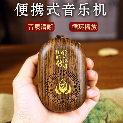 高音质五行养生纯音乐播放机数字选曲正品家用循环插卡便携晨练 商品图3