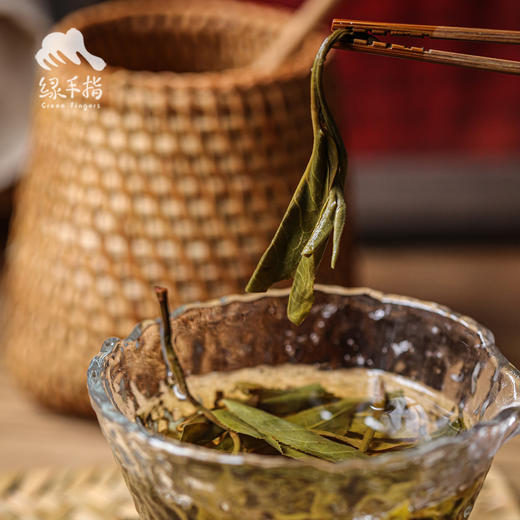 生态古树生普茶（韵达） | 合作生产 * Eco-Sampu tea | Coproduction 商品图5