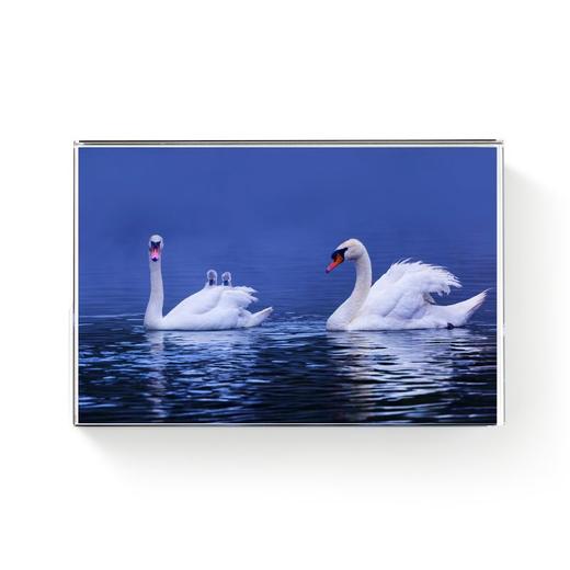 罗红摄影作品-水晶摆台 商品图2