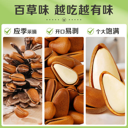 罐装东北松子500g  饱满大果 慢烤轻烘焙 商品图6