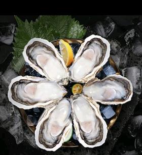 MM原浆半壳生蚝1.8kg/袋