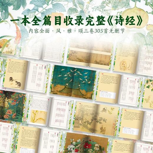 【预售7月15日发货】《诗经》中国人的“精神家底” 上下2册 商品图1