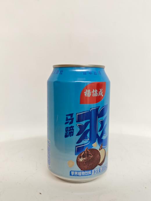 杨协成马蹄爽荸荠饮料罐装300ml 商品图0