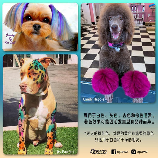 宠物持久染色剂--小瓶套装 OPAWZ小爪印 商品图4