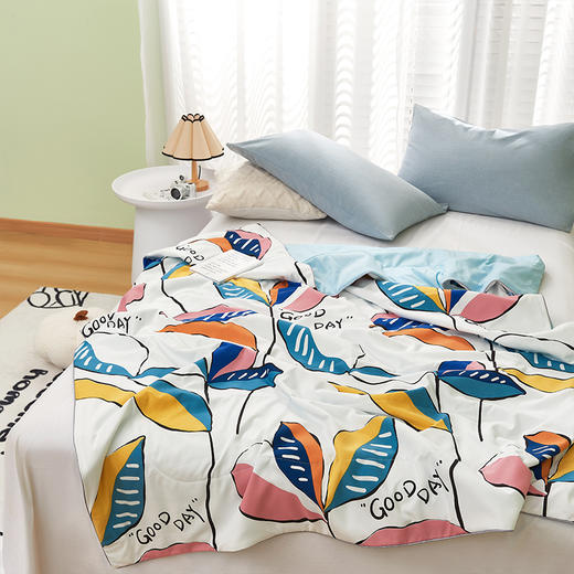 洁丽雅 亲肤舒柔被150×200cm花样年华 商品图0