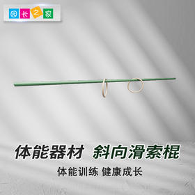 体能器材斜向滑索棍