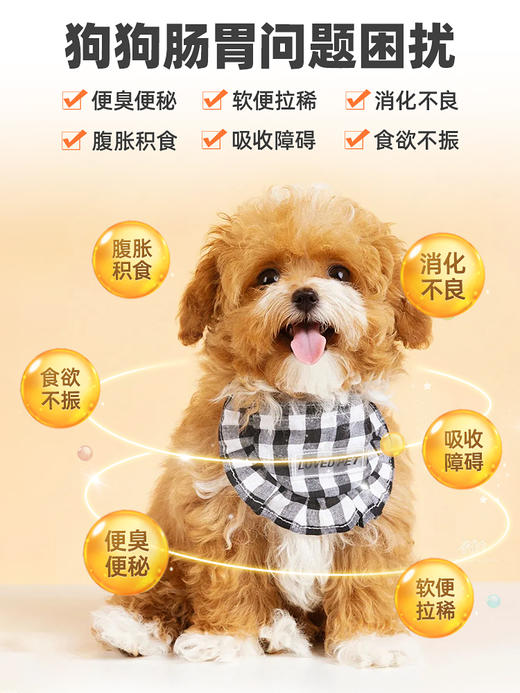 普安特狗狗益生菌膏调理肠胃呕吐腹泻软便拉稀消化不良补充营养剂 商品图1