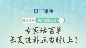 “专家话百草 长夏进补正当时（上）”——《央广健康》直播笔记