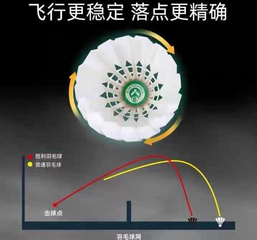 威克多VICTOR胜利羽毛球 比赛级9号 12只/筒 耐打训练比赛球鸭毛复合软木 商品图1