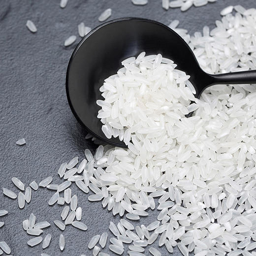 「10斤装！五常大米」溢田东北五常大米10斤黑龙江粳米东北大米5kg 粮油米面 商品图1