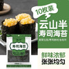 云山半寿司海苔10枚装紫菜包饭专用日式寿司调味品含寿司卷帘工具29g 商品缩略图5