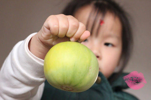 【马连庄甜瓜】酥甜到醉的瓜 带籽吃都满足 颗颗只选精品瓜 当下最清香四溢的必吃甜瓜-CC 商品图4