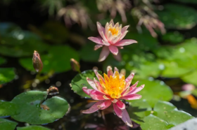 它为何能成为你日常佩戴的首选？