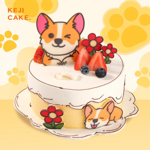 【会员券专用】小狗乖乖 · 可爱柯基造型 商品图0