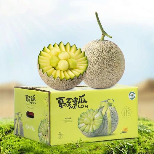 夏至蜜瓜 国货新品 夏至网纹蜜瓜软糯香甜 新疆哈密瓜 商品图3