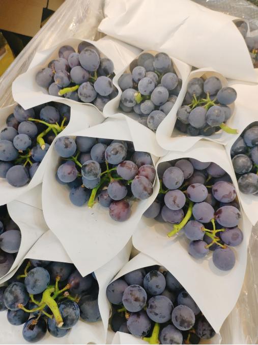 冰糖脆葡萄2斤 商品图0