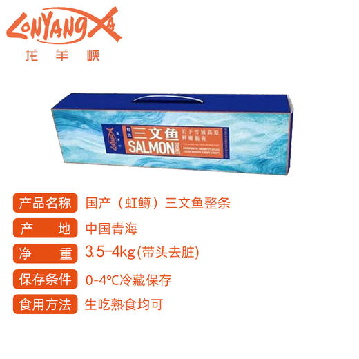 【冰鲜】龙羊峡三文鱼7-8斤 3年自然慢长高原大虹鳟甄选大鱼新鲜捕捞 商品图1