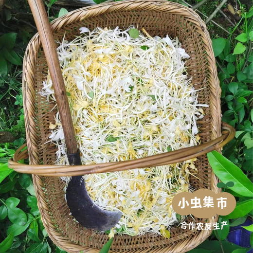 野生金银花 50g/袋 | 合作农友生产，产自广东连南瑶族自治县，生产者：张运东 &【公平贸易农人定价】 商品图4