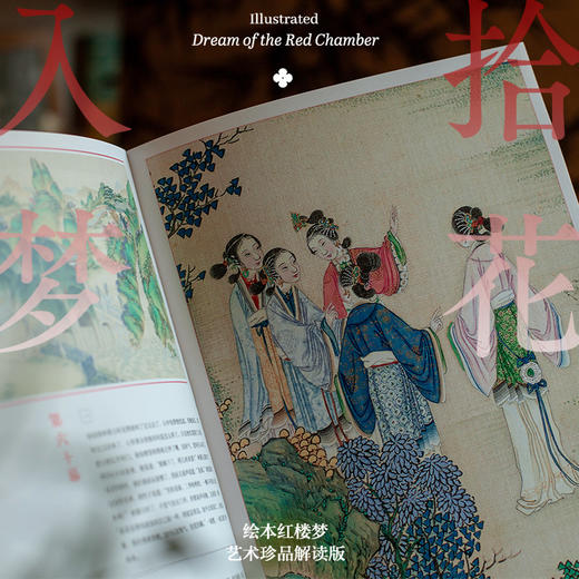 拾花入梦：绘本红楼梦（艺术珍品解读版） 商品图5