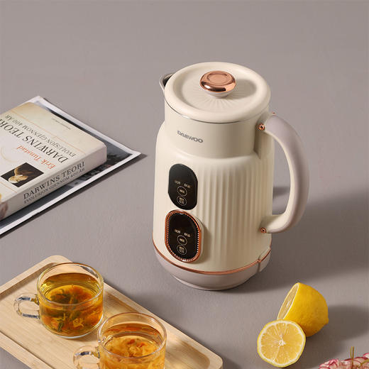 大宇除电热水壶DYSH-15F26 商品图1