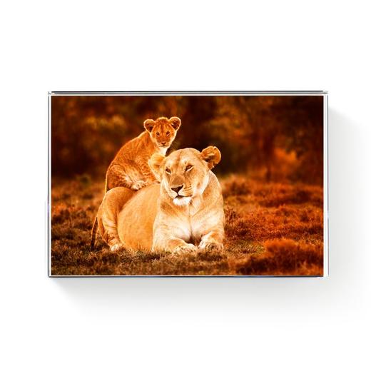 罗红摄影作品-水晶摆台 商品图3