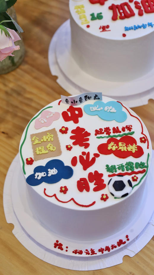 中考必胜 商品图0