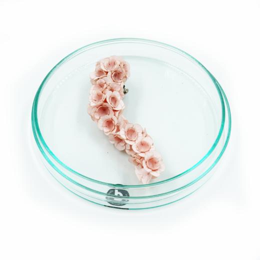 AYK fuji L夹耳饰 单只装（颜色 粉） 商品图0