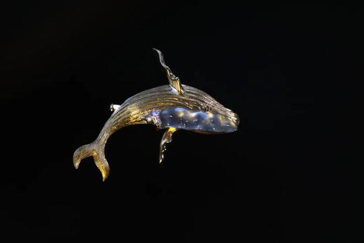 鲸｜海洋般神性与强大（现货已出，须定制） 商品图2