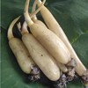 马踏湖白莲藕 水果藕 商品缩略图0