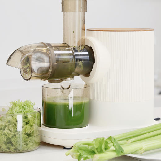 TT慢磨原汁机榨汁机 T330W 商品图1