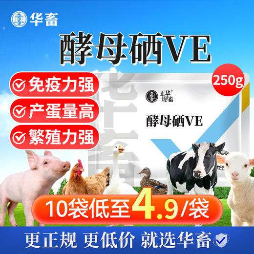 华畜兽用 酵母硒VE250g 维生素e饲料添加剂 特添加有机硒 提高发情率 增加产仔头数 商品图0