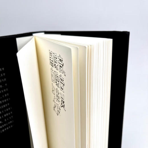 黑噪音、白噪音与幽灵之声（知名哲学教授姜宇辉写给声音的一封私信）新行思 商品图2