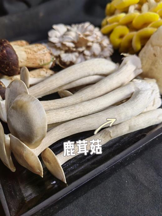 吃菌子的快乐！【新鲜云南七彩菌菇组合】云南人的专属快乐 500g甄选6-7种新鲜菌菇！1000g甄选9-10种新鲜菌菇！刺身、蒸炒涮煮炖，怎么吃都好吃~ 商品图8