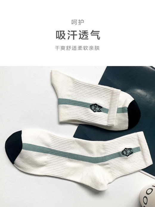 足装秀24新款夏季男士中筒袜棉质百搭轻薄透气吸汗中邦运动男袜子 商品图4
