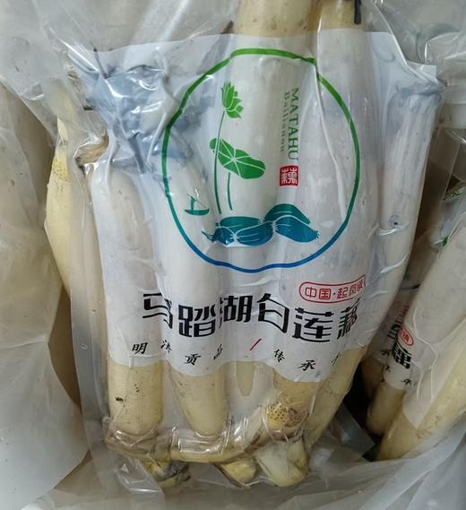 马踏湖白莲藕 水果藕 商品图1