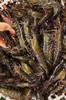 xm{批发价码头直发！！！纯天然新鲜劲~}海捕大黑虎虾，百吃不腻性价比高，顺丰活冻当天捕捞肉质紧实Q弹，好吃~ 商品缩略图3
