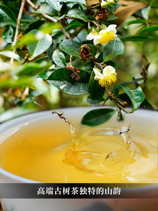 【猎虎山散茶】2024年头春易武刮风寨茶区新发现稀缺资源 普洱茶生茶散茶300g/木箱装 商品图9