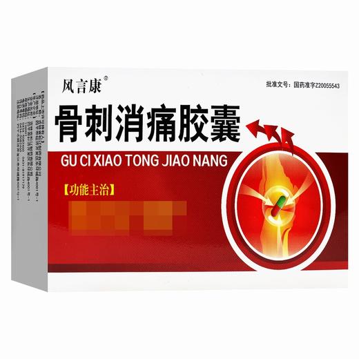 风言康,骨刺消痛胶囊【0.3g*20粒*2板/盒】吉林松辽 商品图1