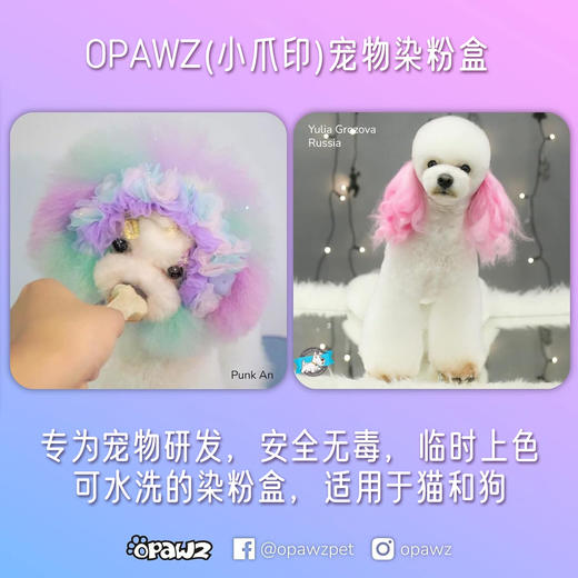 快染粉盒12色套装 OPAWZ小爪印 商品图2