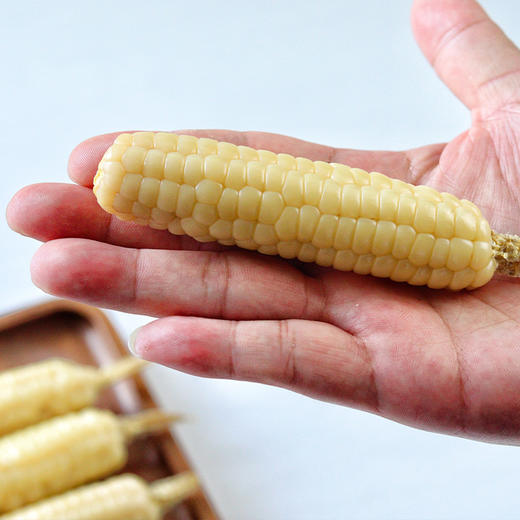 【800年非转基因老种 ——拇指小玉米】云南农科院护航 品质、营养认证一应俱全 商品图7