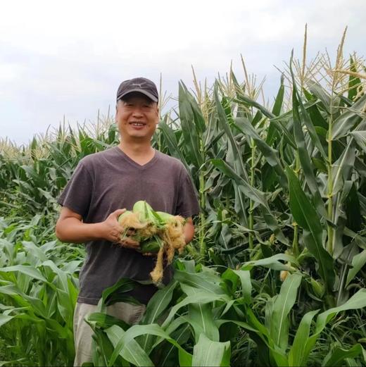 生态甜糯玉米（洛阳） | 合作生产* ecological soybean | Coproduction 商品图1