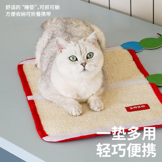 zeze毛毛虫桌椅保护抓垫-B（包邮） 商品图2
