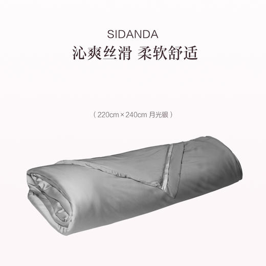 品牌直发 SIDANDA 蚕丝空调被 200*230cm/220*240cm 月光银 商品图1