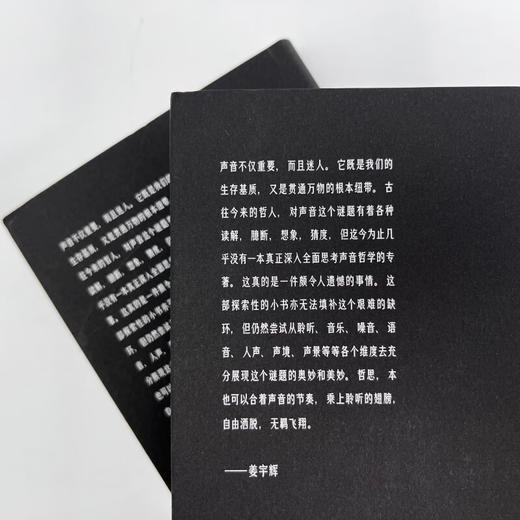 黑噪音、白噪音与幽灵之声（知名哲学教授姜宇辉写给声音的一封私信）新行思 商品图1