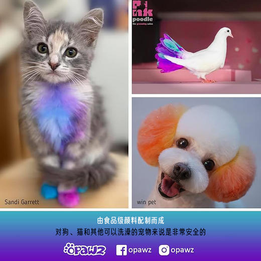 半持久宠物染色剂-泡泡糖粉Bubble Gum Pink OPAWZ小爪印 商品图2